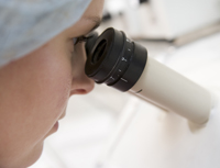Microscope