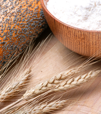 Flour and wheat