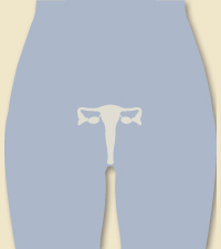 Uterus picture