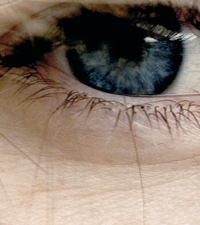 Eye