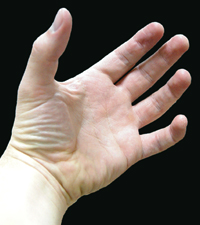 Hand